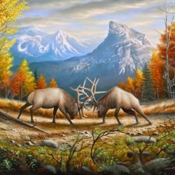 CANVAS_The Wild Frontier